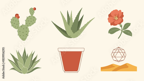 Vector art of a nature icon vector set featuring plants and desert elements in a vector style.