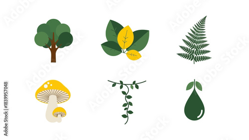 Nature vector art icons showcase a vector set of plants and mushrooms in a forest.