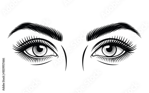 Illustration of a pair of female eyes with dramatic eyelashes and defined eyebrows staring directly forward