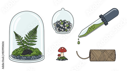 Vector art illustration of a vector set icon featuring a terrarium with plants and mushrooms in a nature environment.