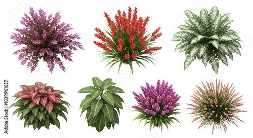 Botanical Garden Arrangement: An enchanting collection of vibrant botanical specimens blooms, their lush forms adding a splash of color to the scene.