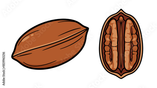 Whole Pecan and Halved Pecan Showing the Rich Brown Interior and Textured Shell Isolated on a Black Background Detailed Vector Illustration