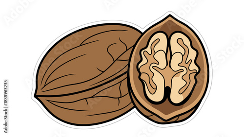 Whole Walnut and Halved Walnut Showing Intricate Kernel Texture on Black Background Simple Illustration Style