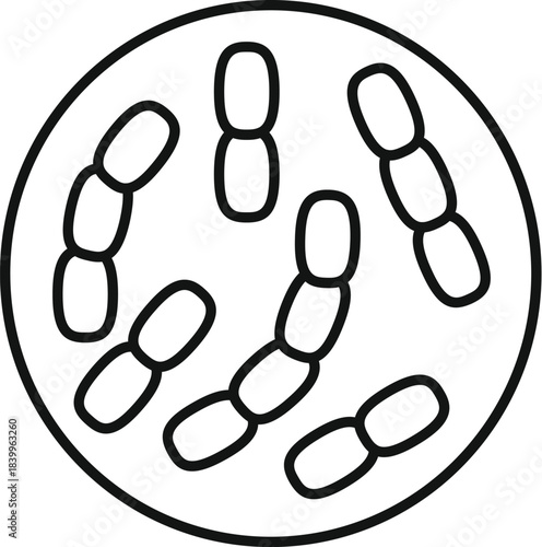 Microorganisms or bacteria growing and multiplying inside a round petri dish