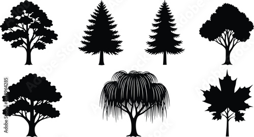Tree silhouettes, broadleaf trees, coniferous trees, willow tree, maple shape, foliage patterns, black vector, nature icons, landscape design, botanical clipart