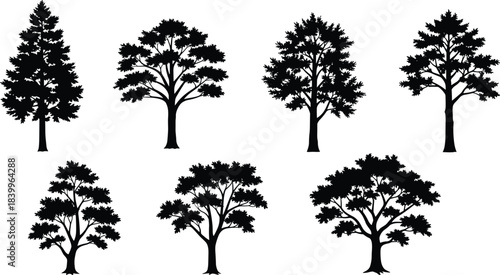 Tree silhouettes, diverse shapes, foliage patterns, trunk variations, botanical icons, forest design, black vector, nature clipart, landscape elements, tree forms