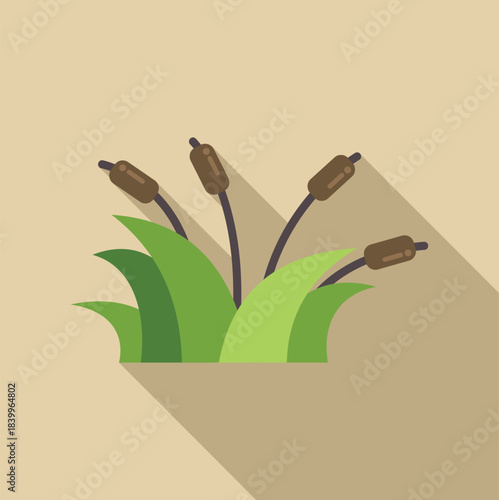 Cattail plants growing in green marsh grass with long shadow