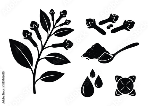 Clove spice plant, aromatic buds, ground powder, essential oil drops, culinary ingredient, aromatherapy