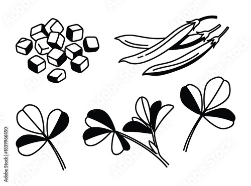 Clover leaves set. Snow peas. Sugar cubes. Botanical elements. Food and nature collection.