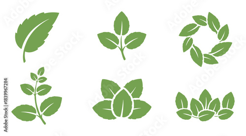 Collection of leaf icons, foliage symbols, plant emblems, and nature signs.