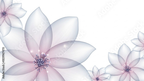 Delicate Floral Embrace: A collection of soft, translucent blossoms, gracefully arranged, evoking a sense of purity and serenity.