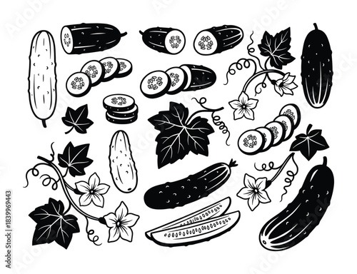Cucumber whole vegetable, sliced rounds, leaves, flowers. Set of black and white hand-drawn elements.