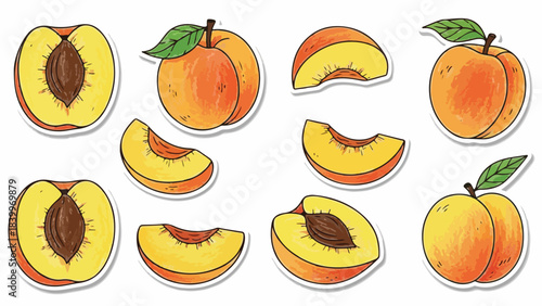 Illustration of whole and sliced peaches with leaves on a clean white background in a flat lay composition with warm colors.