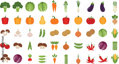 Large collection of colorful vegetables including peppers, pumpkins, carrots, tomatoes, mushrooms, peas, corn, onions, and leafy greens, perfect for food illustrations and healthy eating designs