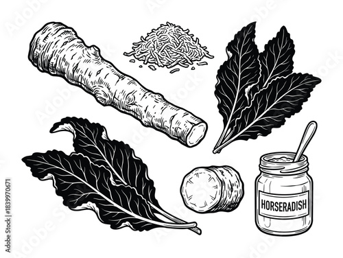Detailed black and white illustration of horseradish root, leaves, grated pile, and jar.