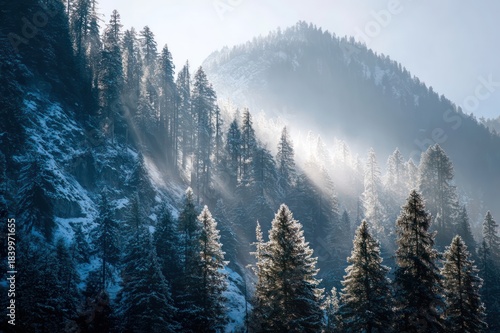 A snowy mountain forest glowing under the morning sun