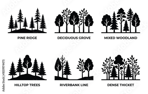 Forest silhouettes, woodland types, ecological names, tree groups, nature landscape elements