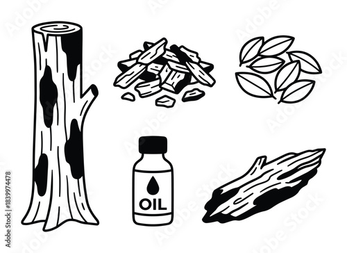 Forestry resources. Wood processing elements. Tree product collection. Natural timber components.