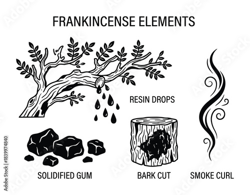 Frankincense elements, tree, resin drops, solidified gum, bark cut, smoke curl, aromatherapy ingredient