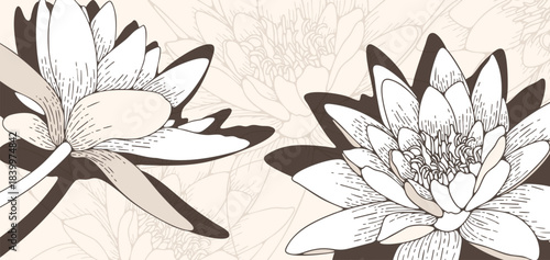 Luxury minimalistic floral art with lotuses or water lilies flowers. Hand-drawn floral illustration in oriental style.