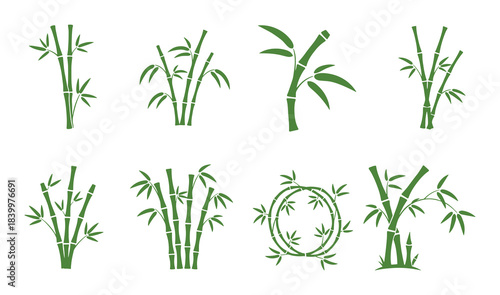 Green bamboo icons, different arrangements of bamboo stalks and leaves for asian nature.
