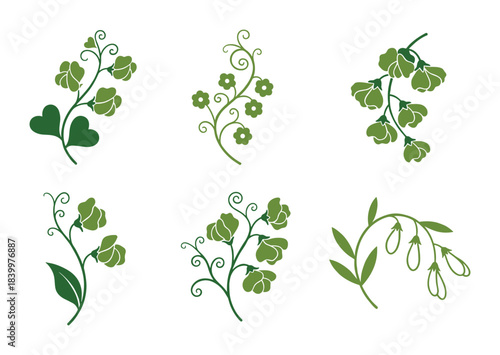 Green floral design elements. Sweet peas and decorative plant branches. Nature inspired motifs.