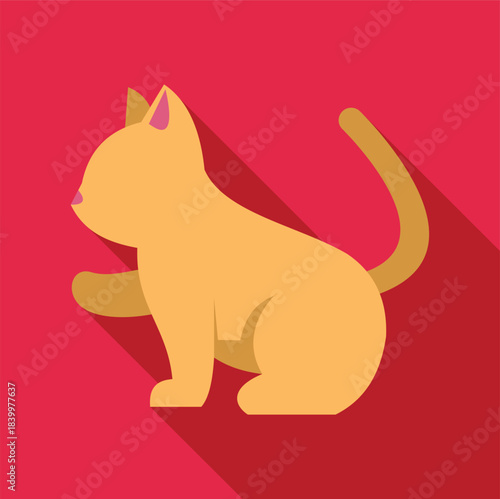 Orange cat kitten sitting with long shadow on a bold red background