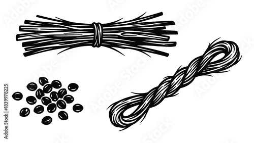 Hemp seeds and fiber bundles, hand drawn natural product elements, organic plant raw materials.