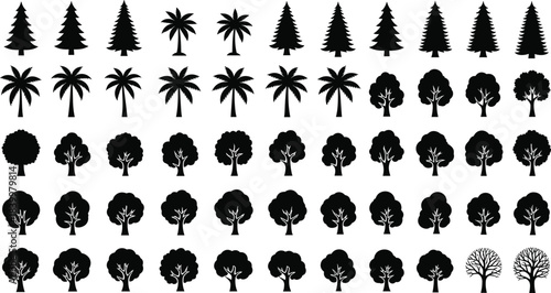 Tree silhouette vector set, coniferous, deciduous, palm shapes, black icons, foliage comparison, botanical chart, nature design, forest elements