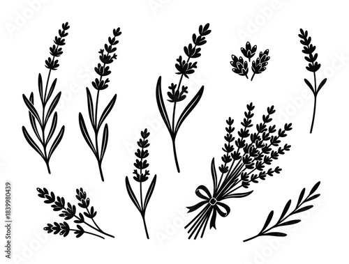 Lavender sprigs, floral bouquet, herbal silhouette, natural decor, aromatic flowers, botanical design elements.