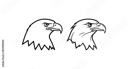 Dynamic line art illustrations of an eagle's head, capturing the fierce determination and noble spirit of a majestic bird of prey, ideal for emblems, mascots, and powerful graphic designs