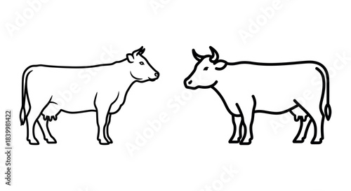 Two cows, one facing left and the other facing right, rendered in a simple line art style on a white background