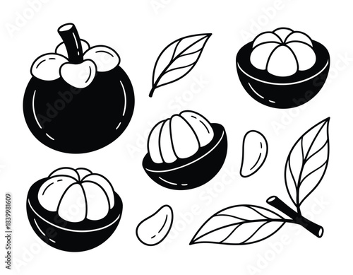 Mangosteen fruit set. Whole and cut. Leaves in silhouette. Isolated exotic food collection.