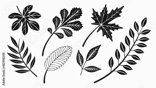Illustration of various types of leaves including maple, oak, fern, and other foliage designs