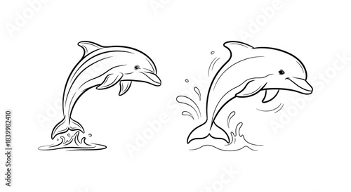 Two dolphins leaping out of the water in a line drawing illustration