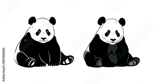 Adorable Giant Pandas Sitting and Looking Forward - Illustration
