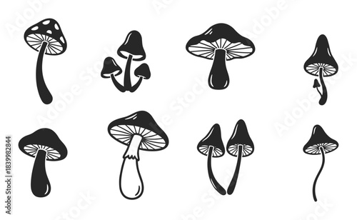 Mushroom icons collection. Various fungi illustrations. Hand-drawn element vector. Nature plant design.