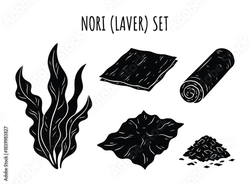 Nori laver set showing seaweed plant, dried sheets, and shredded pieces in black and white