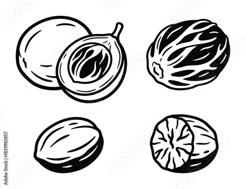 Nutmeg spice set whole and half seeds isolated on white background black and white line art