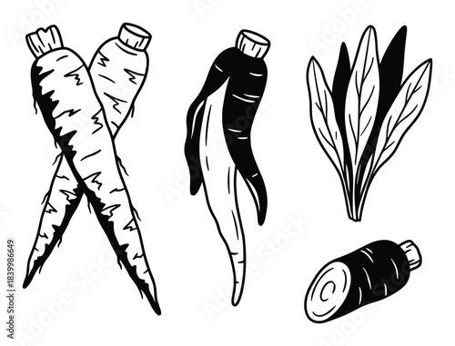 Parsnip root vegetable, whole parsnips, peeled parsnip, leafy greens, chopped parsnip, healthy food.