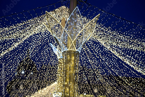 Floral Light Sculpture at Craiova Christmas Market