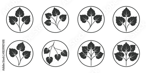 Plant leaves inside circles. Natural growth and botanical elements with diverse leaf arrangements.