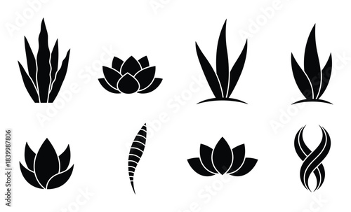 Plants and flowers vector icon set. Botanical elements. Natural floral designs. Decor items.