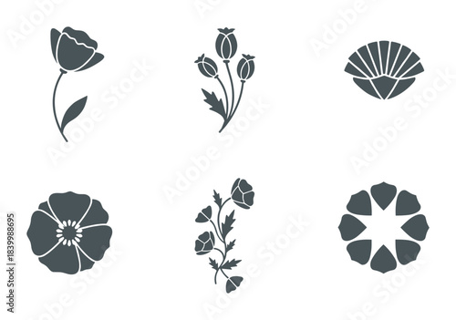Poppy flower and pod collection. Botanical floral design. Nature plant illustration.