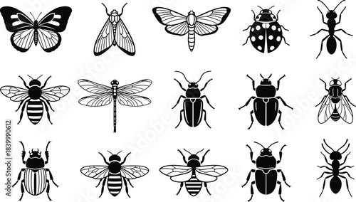 Beautiful collection of detailed black and blue insect illustrations, including a butterfly, bee, ladybug, ant, beetle, dragonfly, and moth, perfect for nature, entomology, and vector graphic design.