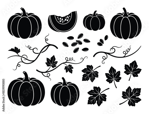 Pumpkin silhouettes set. gourd autumn vegetable, pumpkin seeds and leaves. collection of squash design element