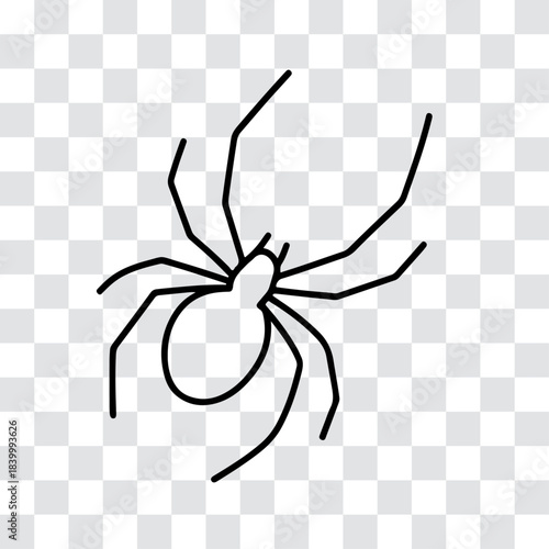 Noble False Widow Line Art – Minimal Vector Spider Outline on Transparent Background