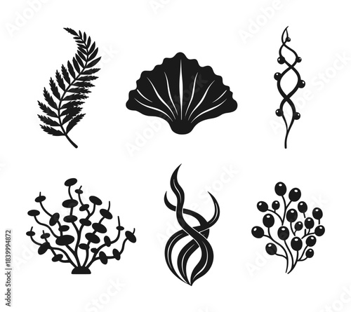 Seaweed plant icon collection. Underwater flora, marine life, sea grass, ocean organism element.