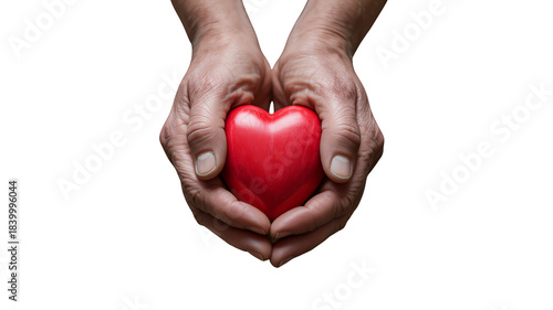 Caring hands cradle vibrant heart: symbol of love and compassion