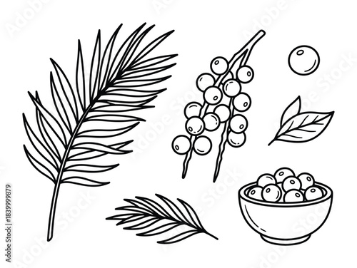 Tropical palm leaf collection. Berry cluster design elements. Fruit bowl. Natural plant graphics.